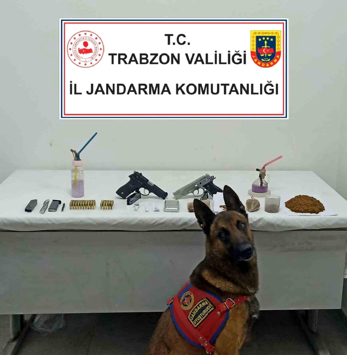 Trabzon İl Jandarma Komutanlığı Jandarma Narkotik Madde Tespit Köpeği \'Duman\' Başarılarına Bir Yenisini Daha Ekledi
