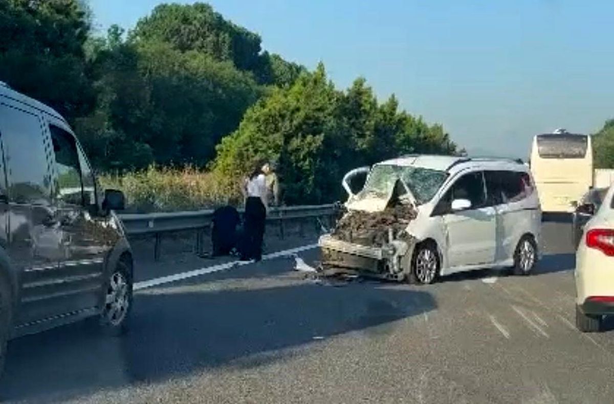 Düzce\'de kamyon ile kamyonetin çarpıştığı kazada kamyon devrildi