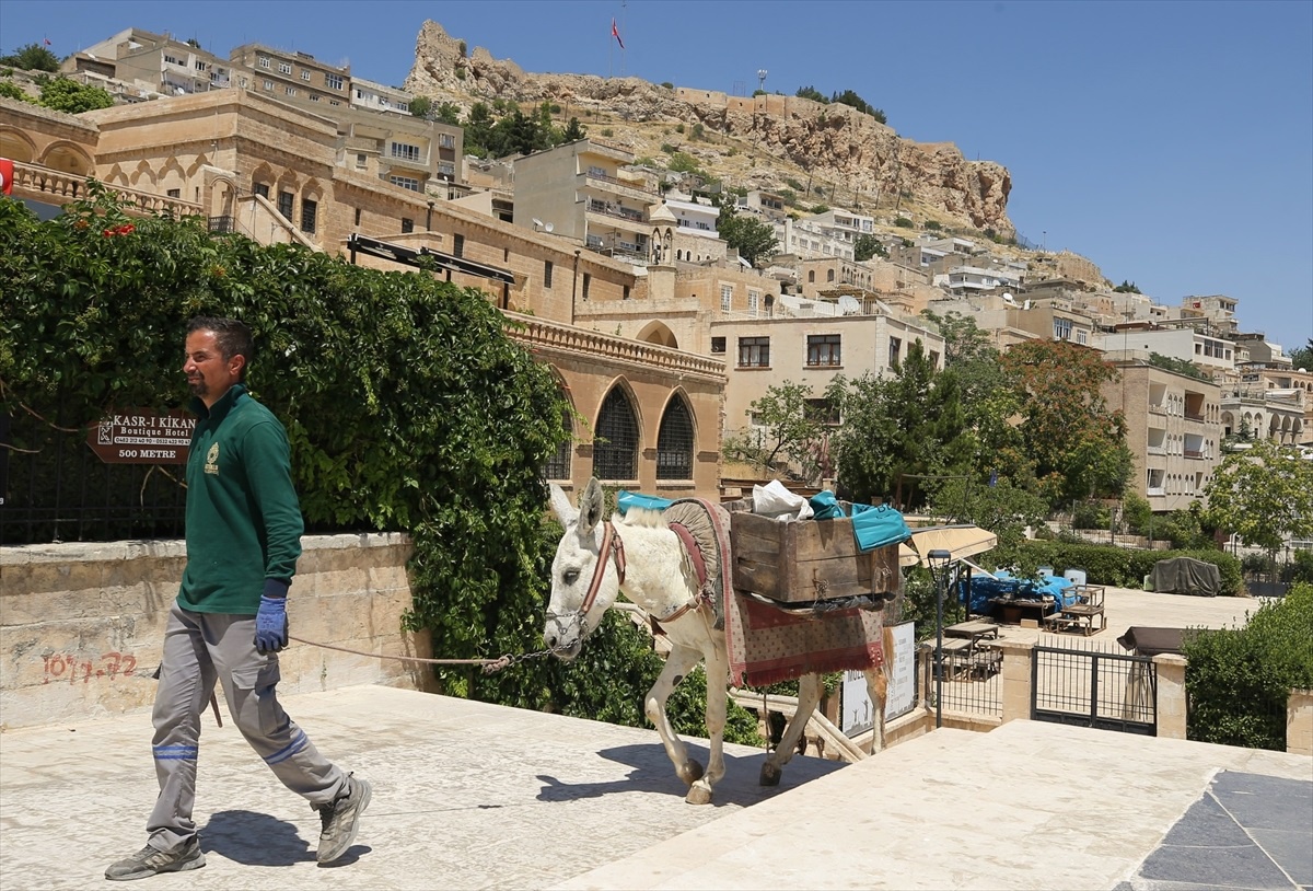 Mardin\'de Çöp Toplama İçin Eşekler Yaz Mesaisinde