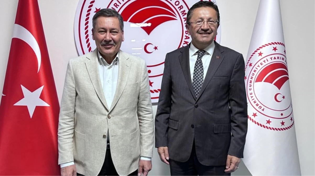 Melih Gökçek ve Veysel Tiryaki görüşmesi kulisleri karıştırdı