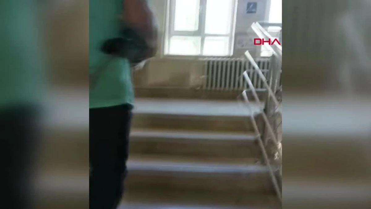Sivas\'ta Yavru Leylek Okulun Çatısından Düştü