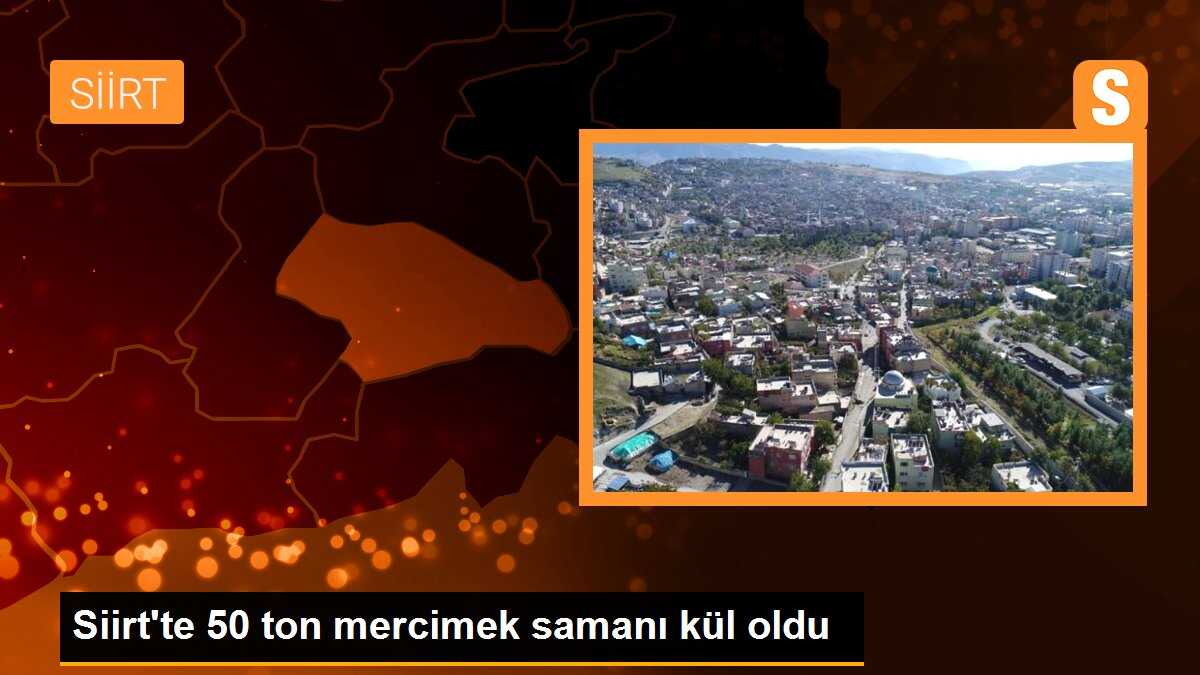 Siirt\'te 50 ton mercimek samanı kül oldu