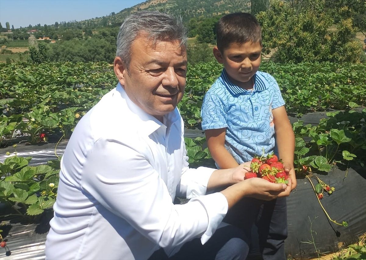 Tarım ve Orman İzmir İl Müdürü Özen, Ödemiş\'te yayla çileği hasadına katıldı