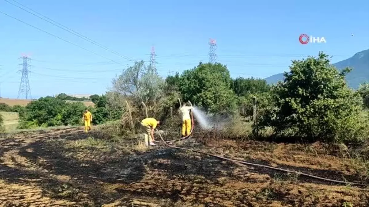 Tarla yangını büyümeden söndürüldü