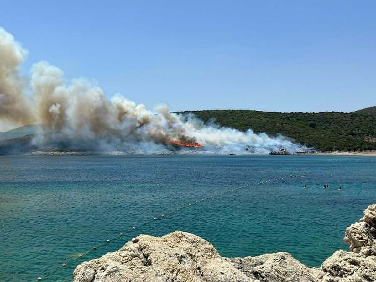 Urla\'da çıkan yangın enerji nakil hattından çıktı