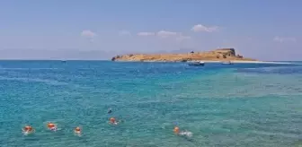 Van Denizi Yüzme Festivali'nde Yüzücüler Çarpanak Adası'ndan Kıyıya Kulaç Attı