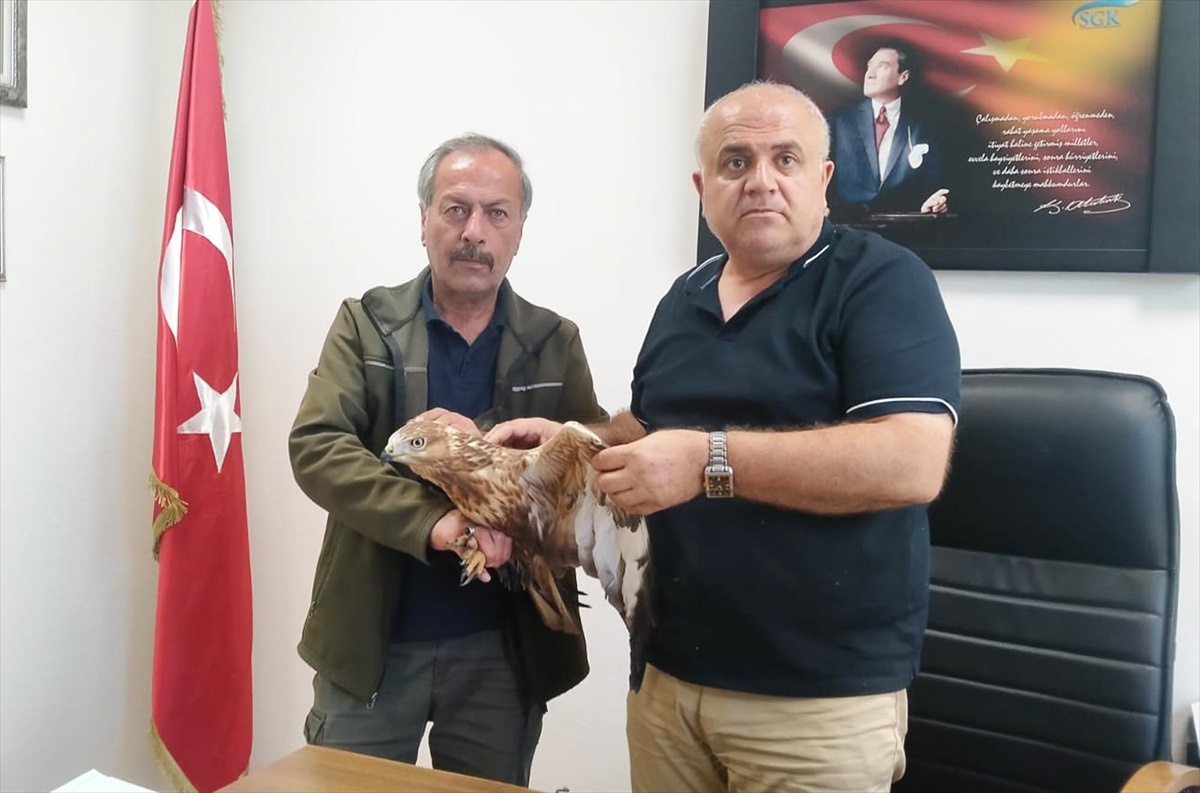 Yaralı Şahin Yozgat Doğa Koruma ve Milli Parklar Müdürlüğüne Teslim Edildi
