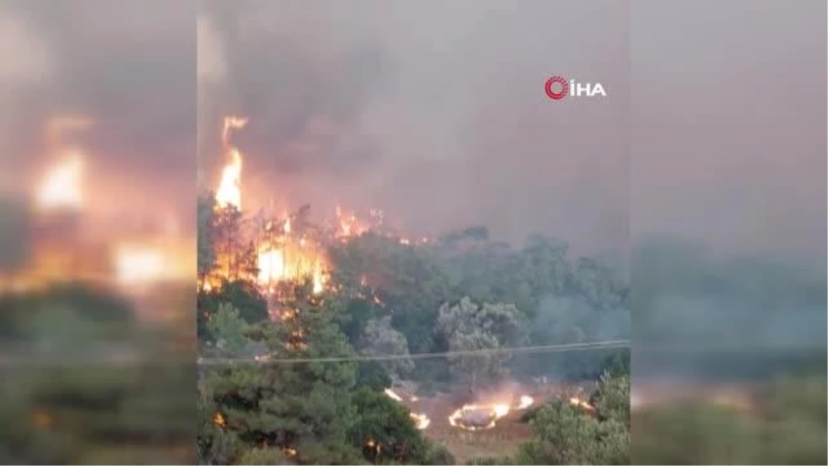 Yunanistan\'da orman yangınları devam ediyor