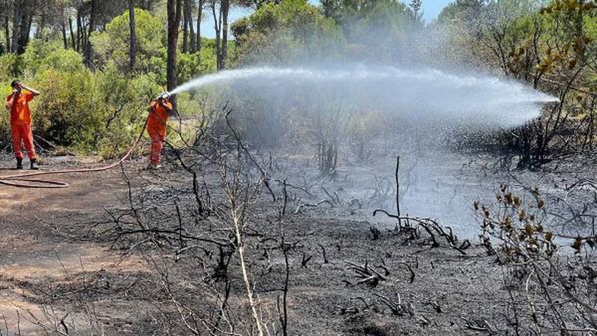 Antalya\'da çıkan orman yangını hızlı müdahale ile söndürüldü