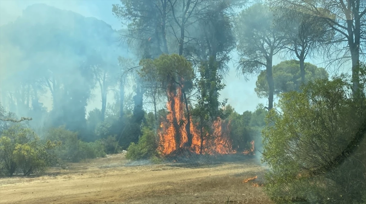 Antalya\'da Ormanlık Alanda Çıkan Yangın Kontrol Altına Alındı