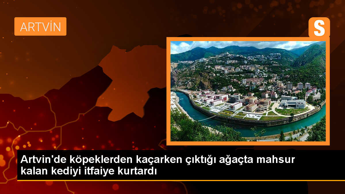 Artvin\'de köpeklerden kaçarken ağaçta mahsur kalan kedi itfaiye tarafından kurtarıldı