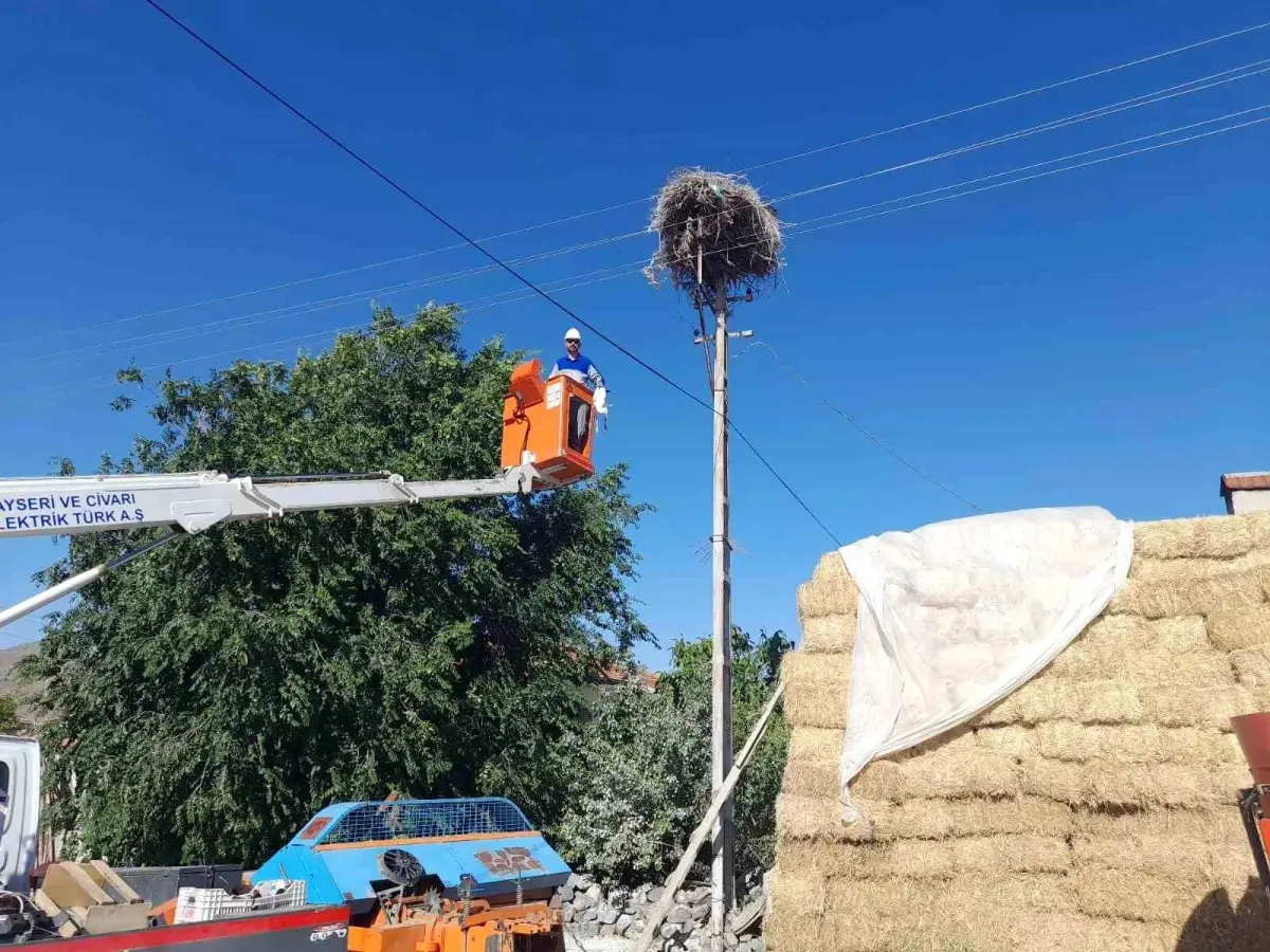 Kayseri\'de Yavru Leylek İpiyle Kurtarıldı