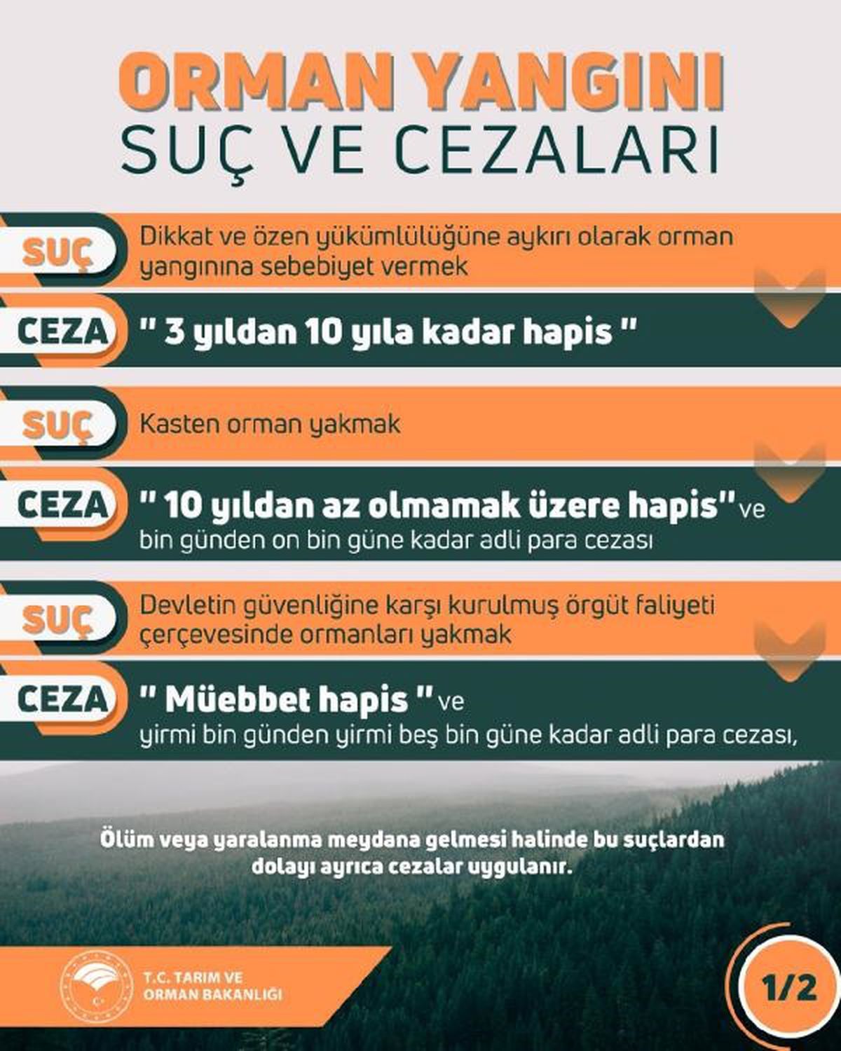 Son 10 günde 40 ilde 203 orman yangını çıktı