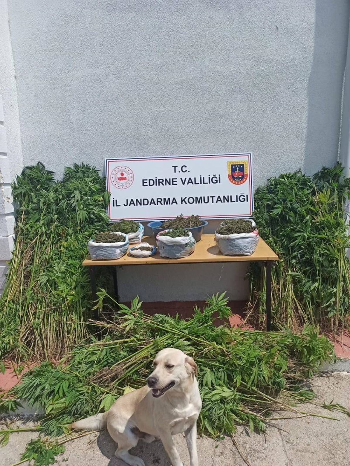Edirne\'de Kaçakçılık ve Uyuşturucu Operasyonunda 6 Şüpheli Gözaltına Alındı