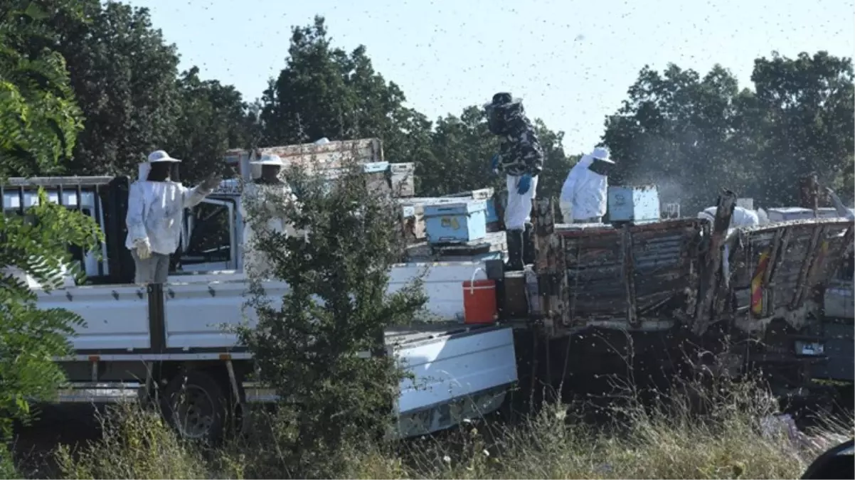 Edirne\'de TIR\'ın park halindeki arı kovanı yüklü kamyonetlere çarpması sonucu 4 kişi öldü