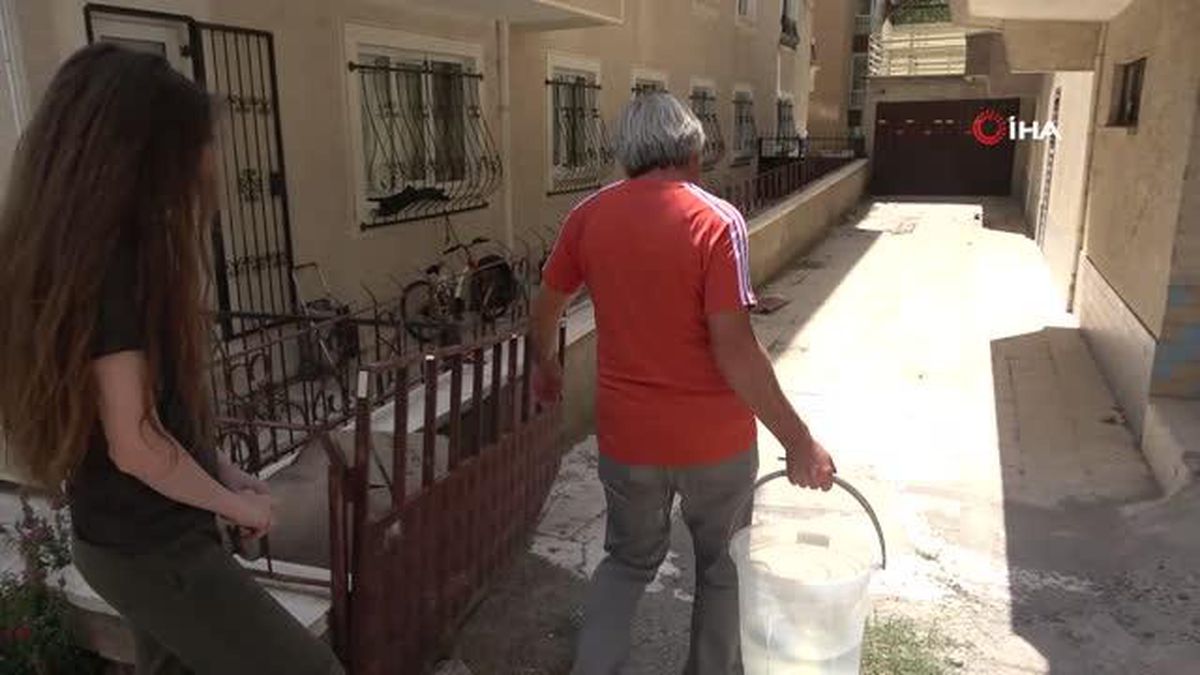 Mahsur kalan kedi 3 gündür kurtarılmayı bekliyor: Annesi garaj kapısında nöbet tutuyor