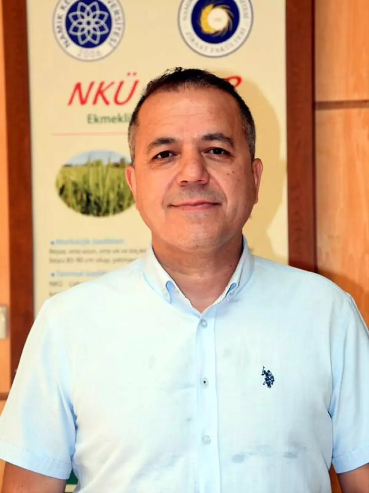 Tekirdağ'da Ayçiçeği Tarlalarına Dadanan Çekirgeler İtalyan Çekirgesi Çıktı