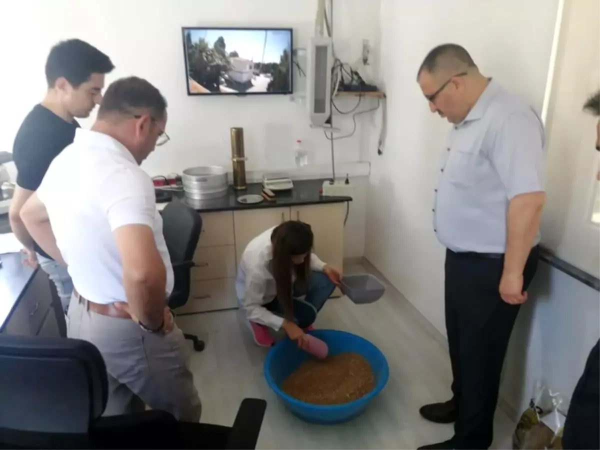 Denizli\'de Çiftçiler İyi Bir Üretim Sezonu Geçirdi