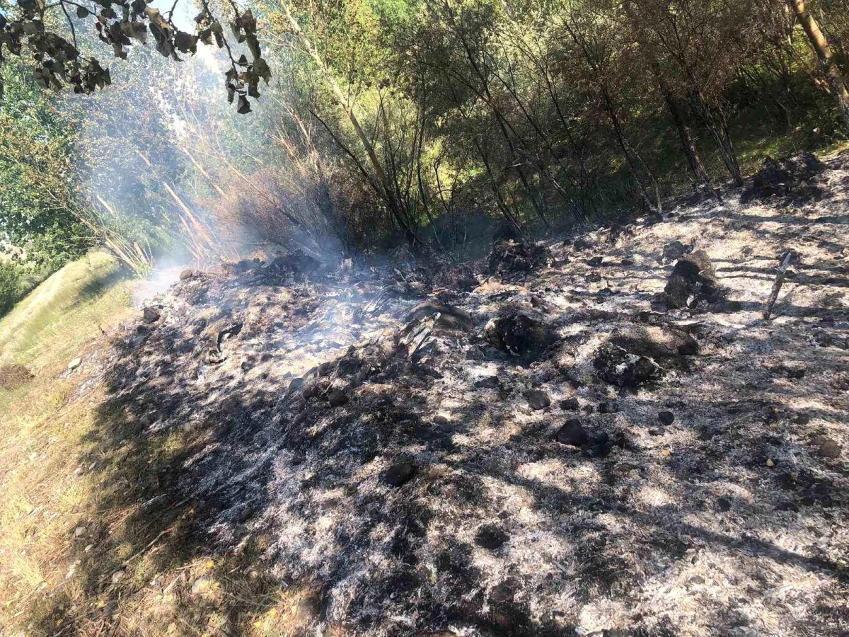 Erzincan\'ın Tercan ilçesinde örtü yangını itfaiye ekiplerince söndürüldü