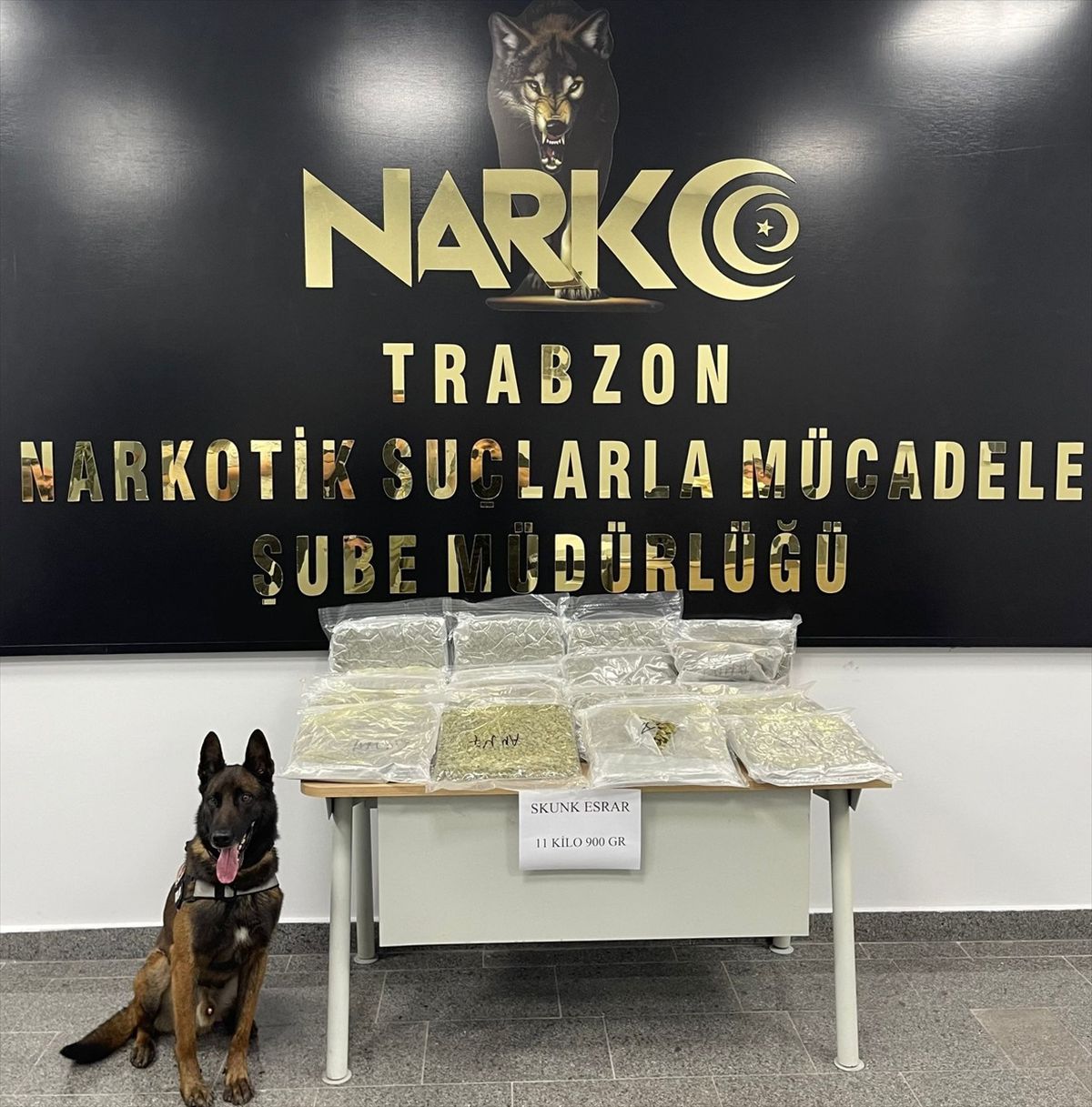 Trabzon\'da Otobüste Skunk Ele Geçirildi