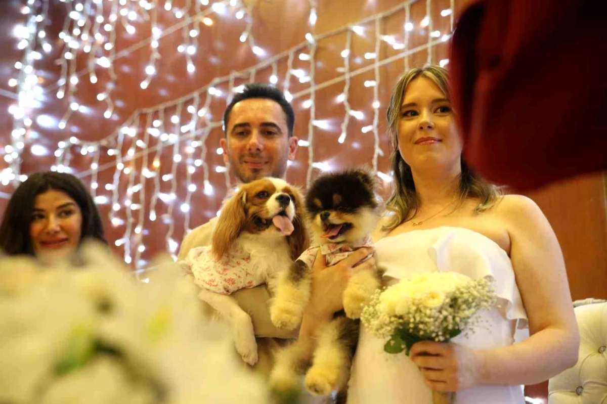 Mersin\'de Köpekleriyle Evlenen Türk Damat ve Rus Gelin