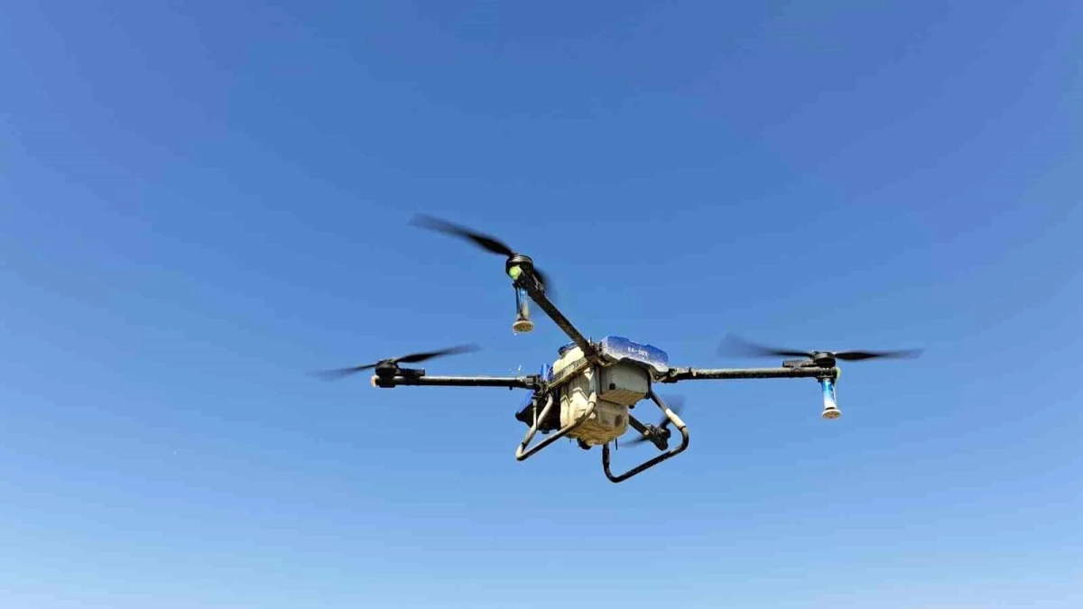 Adilcevaz\'da Çiftçiler Dronla İlaçlama Yaparak Tasarruf Ediyor