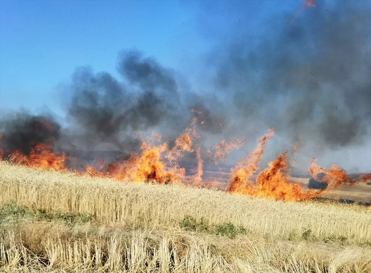 Afyonkarahisar'da çıkan yangınlarda 80 dekar alan zarar gördü