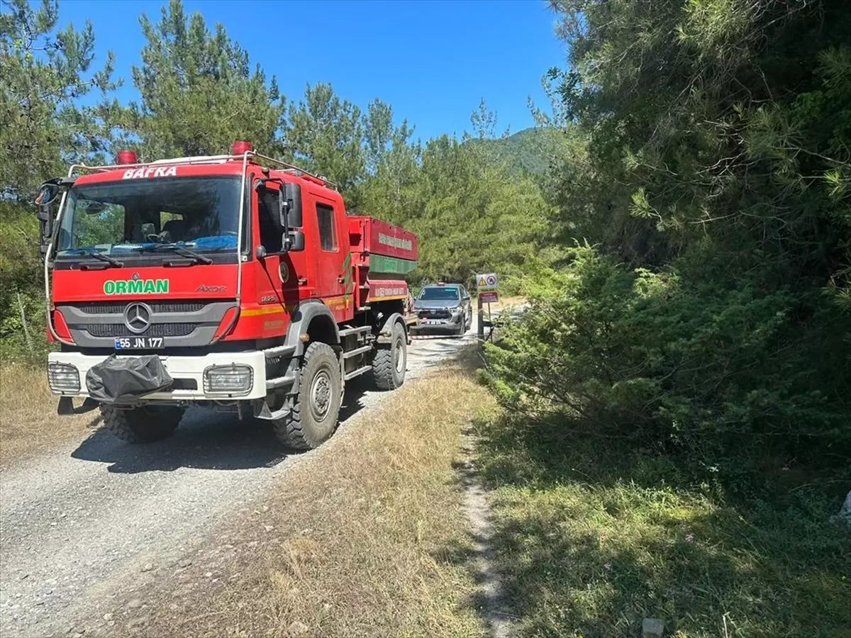 Samsun\'un Bafra ilçesinde orman yangınlarının önlenmesi için ormanlık alanlara giriş yasağı