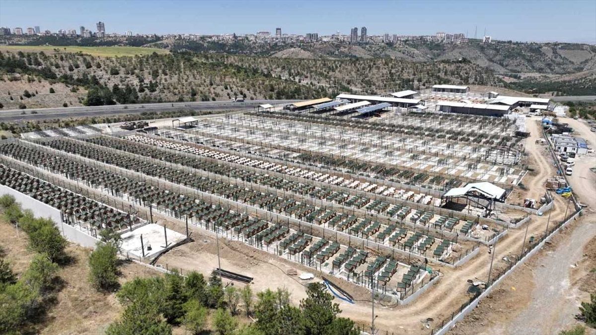 Ankara\'da 6 Bin Sokak Hayvanına Ev Sahipliği Yapacak Bakımevi Tamamlanma Aşamasında