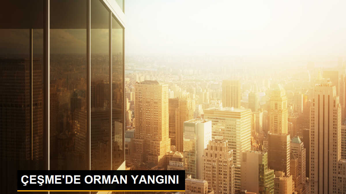 Çeşme\'de Orman Yangını