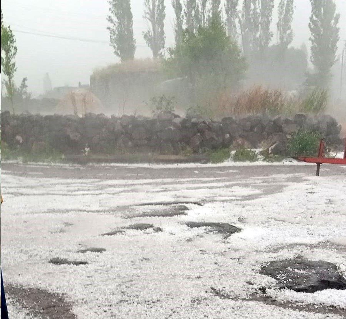 Çıldır\'da Aniden Bastıran Dolu Yağışı Tarım Alanlarına Büyük Zarar Verdi