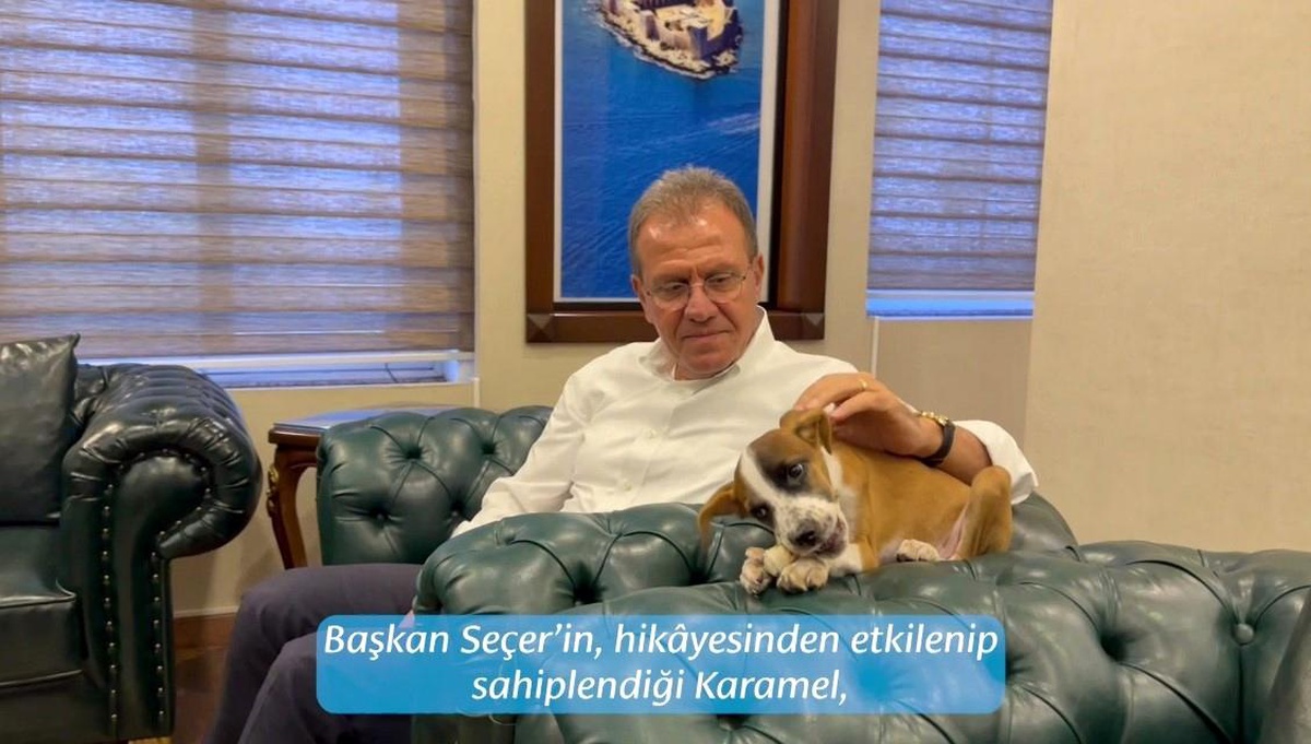 Mersin Büyükşehir Belediye Başkanı Vahap Seçer\'in sahiplendiği depremzede köpeğin yavrusu \'Karemel\', belediye çalışanlarının sevgilisi oldu