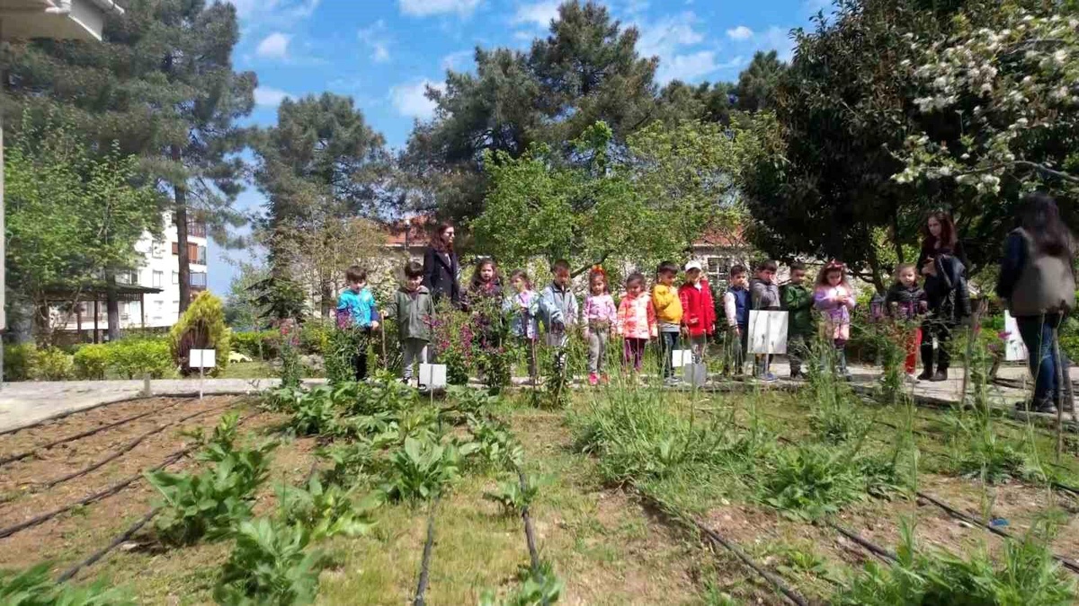 Yalova Doğa Eğitim Merkezi Hafta Sonları da Ziyarete Açık