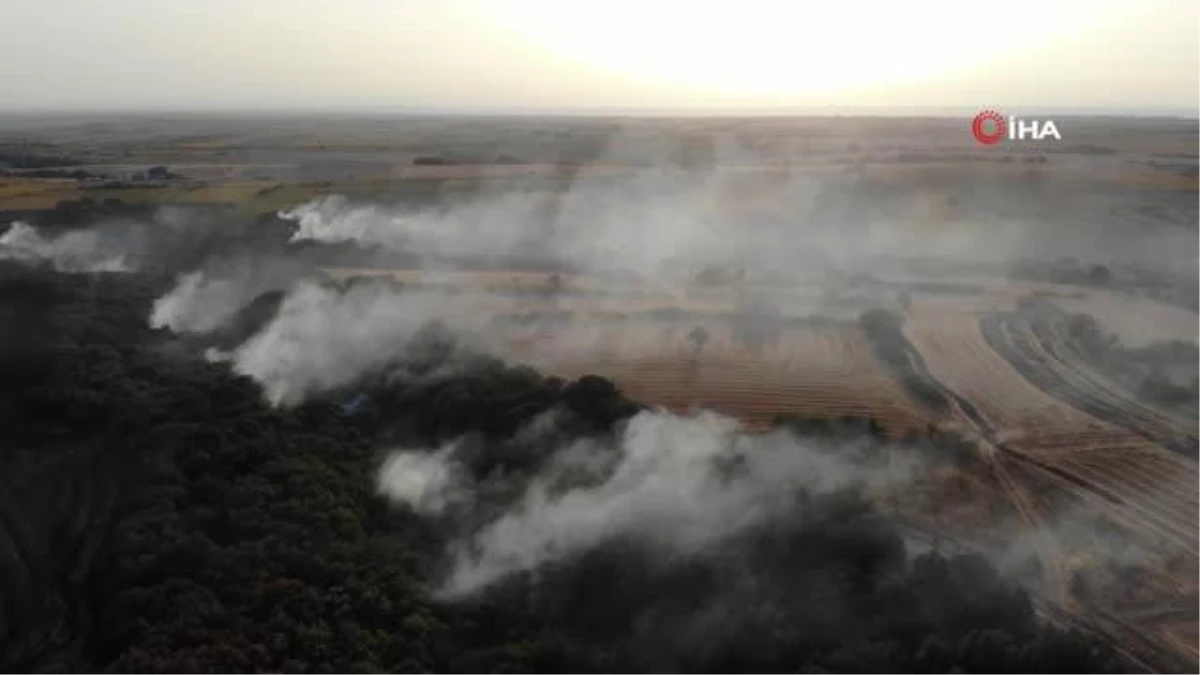 Edirne\'de büyük orman yangını: Müdahaleler 6 saattir sürüyor