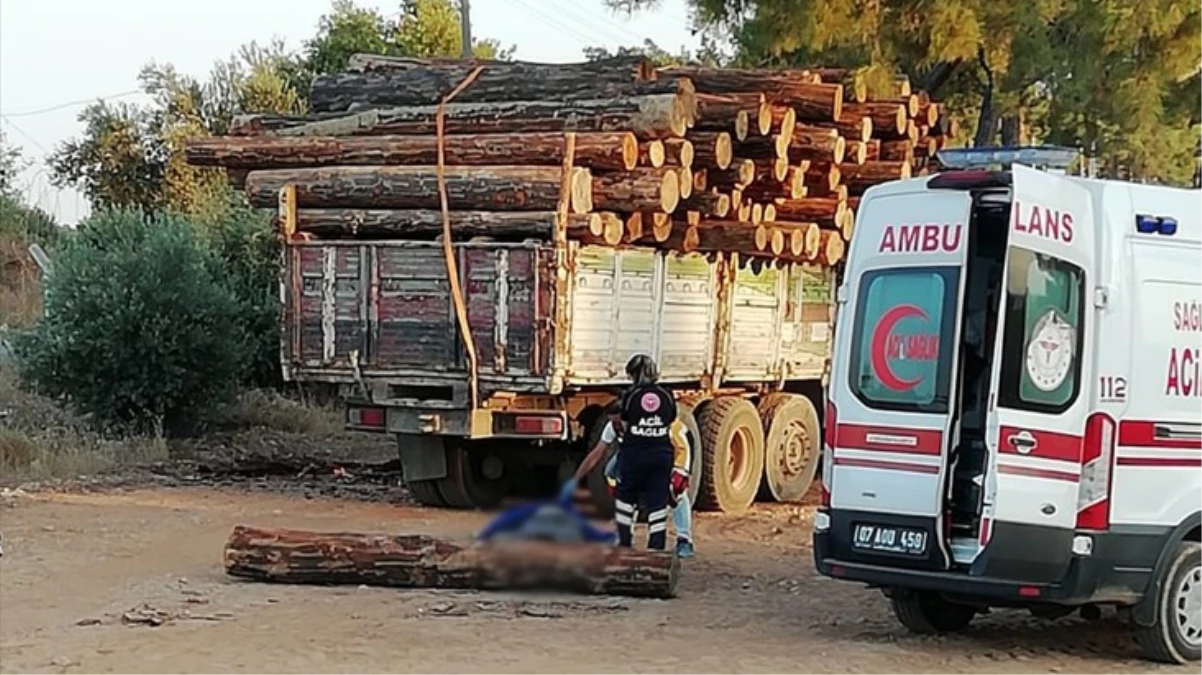 Kesilen ağaçları kamyonuyla taşıyan adam, yükleme esnasında üzerine tomruk düşmesi sonucu feci şekilde can verdi