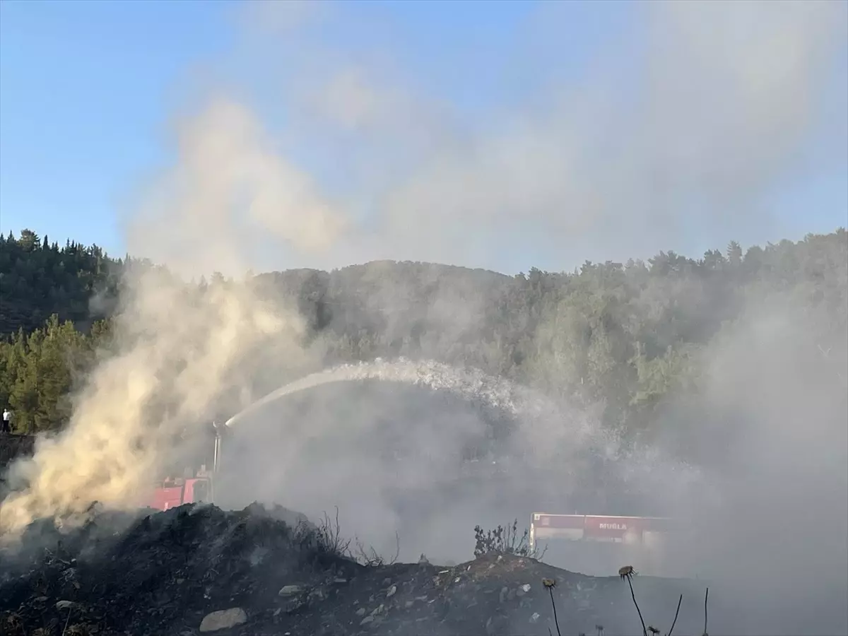 Fethiye\'de çıkan yangın ormana sıçramadan söndürüldü