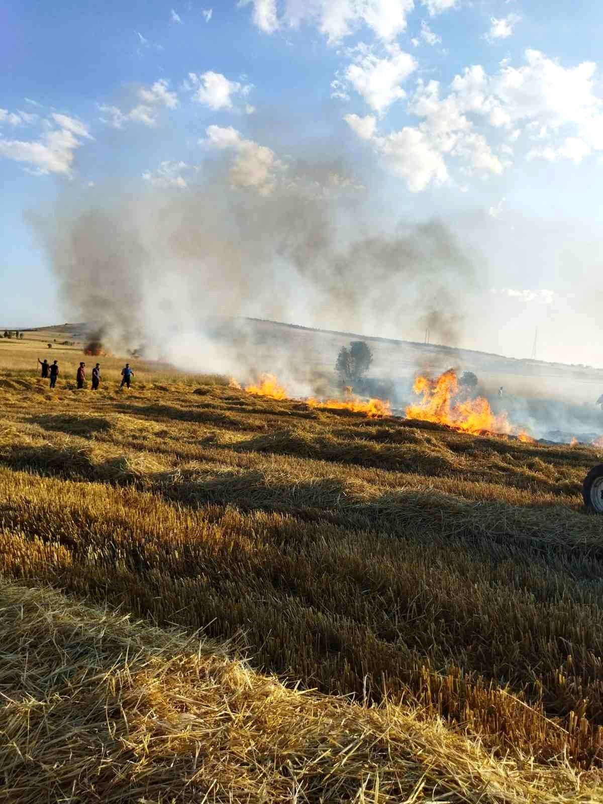 Afyonkarahisar İhsaniye\'de çıkan yangınlarda 30 dekar buğday zarar gördü