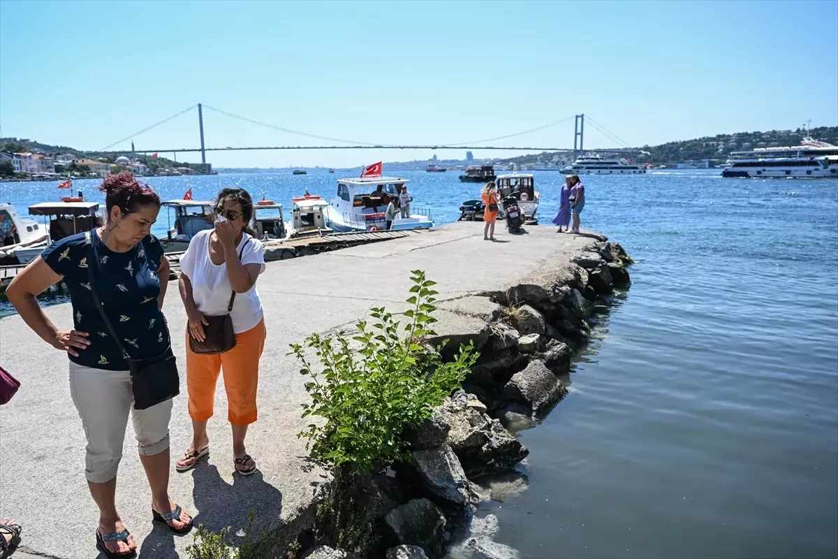 İstanbul\'da Derelerden Boğaz ve Marmara\'ya Kirli Su Akıyor