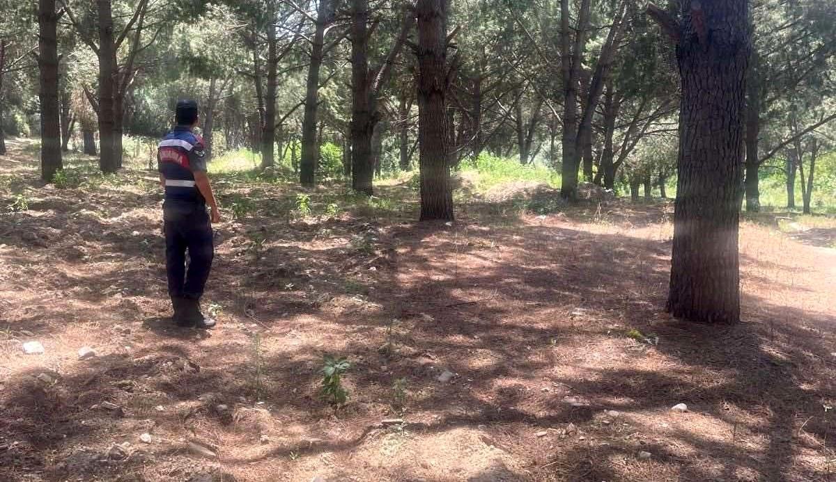 Aydın İl Jandarma Komutanlığı Orman Yangınlarına Karşı Teyakkuza Geçti