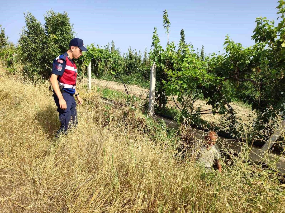 Aydın\'da Kaybolan Engelli Yaşlı Şahıs Jandarma Tarafından Bulundu