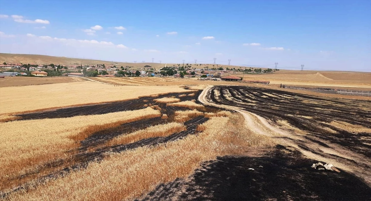 Konya\'nın Kulu ilçesinde çıkan yangında 1500 dekar alan yandı
