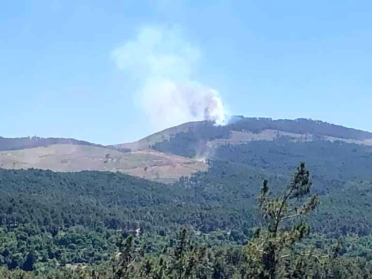 Muğla\'da Orman Yangını Çıktı