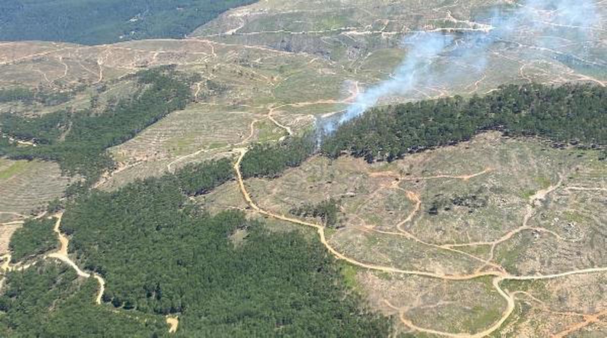 Muğla Kavaklıdere\'de Orman Yangını Çıktı