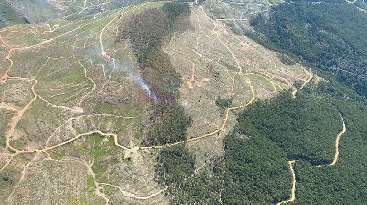 Muğla\'da çıkan orman yangını kontrol altına alındı