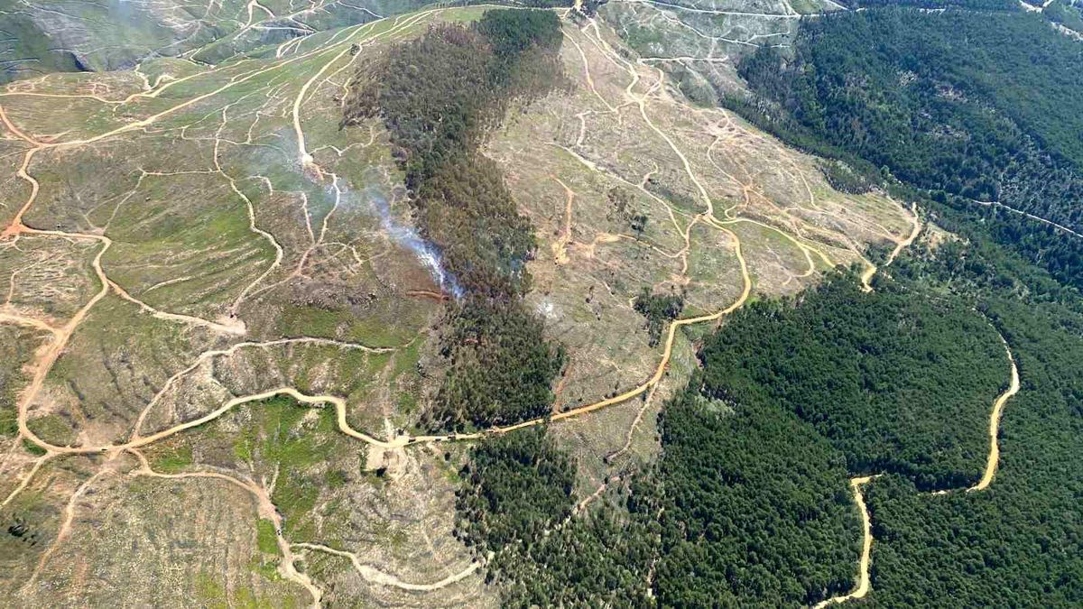 Muğla\'da Orman Yangını Kontrol Altına Alındı