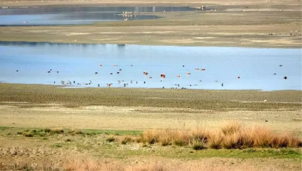 2023 Kış Ortası Su Kuşu Sayımı Sonuçları Açıklandı