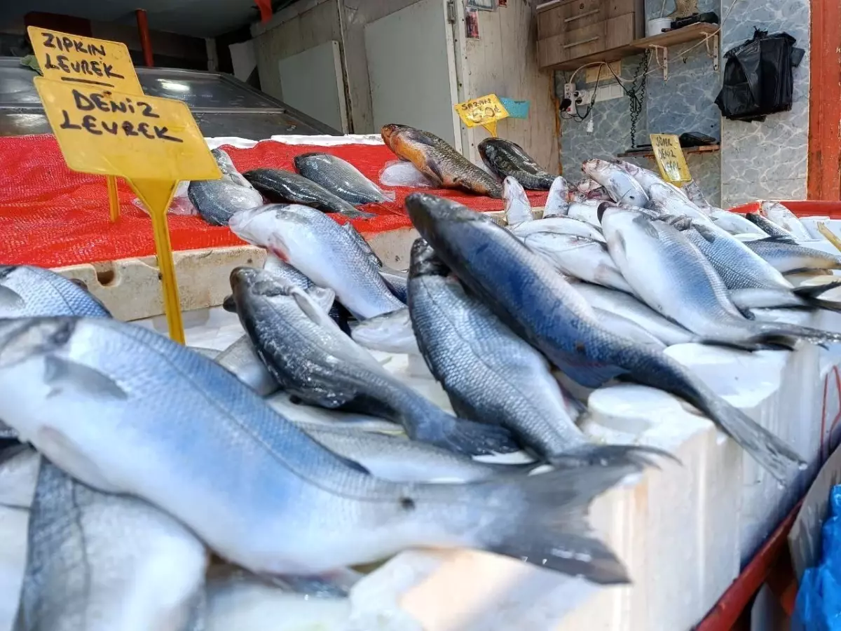 Samsun\'da Sıcak Hava Balık Talebini Azalttı