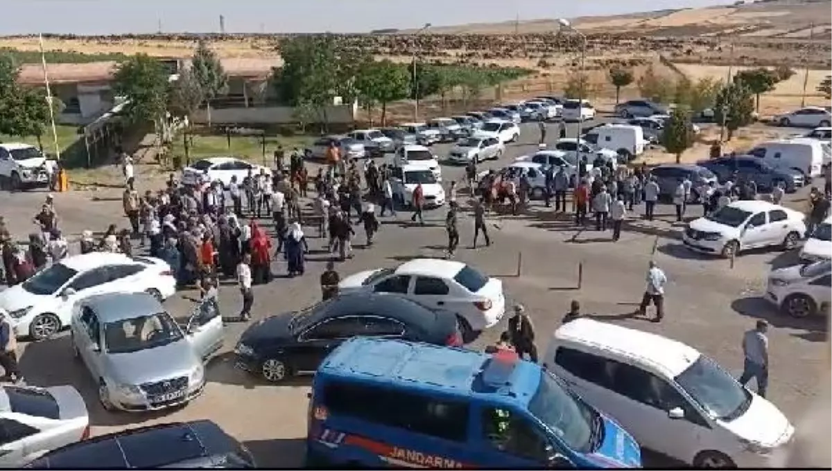 Şanlıurfa'da Sıcaktan Bunalarak Gölette Boğulan Genç