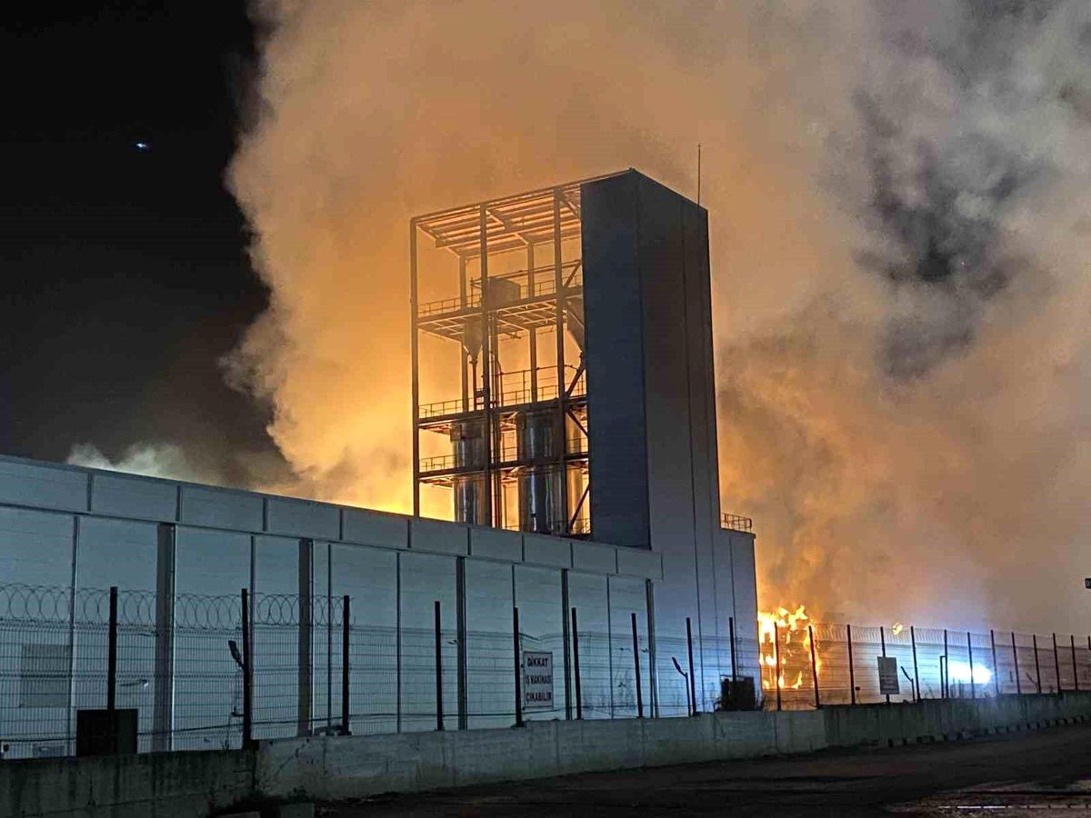 Tekirdağ\'da Karton Ambalaj Fabrikasında Büyük Çaplı Yangın