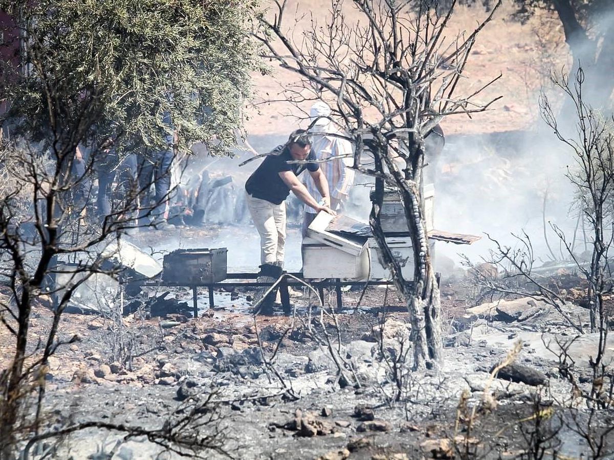 Antalya\'da Çalılık Alanda Çıkan Yangın Kontrol Altına Alındı